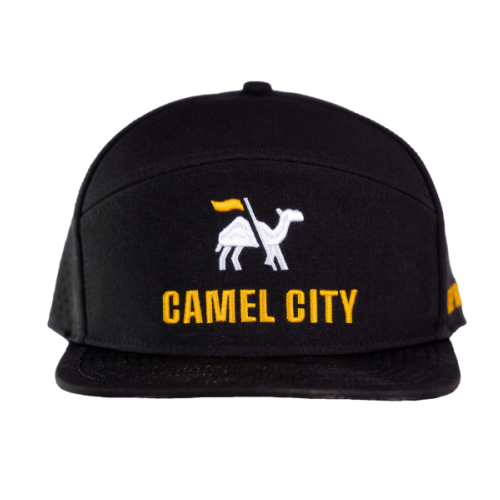 6 Panel Hat